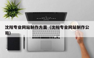 张北沈阳专业网站制作方案（沈阳专业网站制作公司）